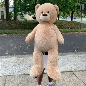 Teddy Bear
